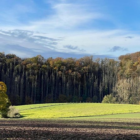 Ferienhaus Kleine Auszeit In Der Natur Mit Kamin, Yogamatten, Schoene Kueche Extertal Εξωτερικό φωτογραφία